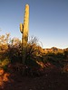 photo thumbnail #2