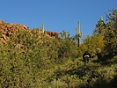 photo thumbnail #5