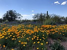 photo thumbnail #4