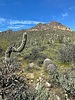photo thumbnail #12