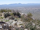 photo thumbnail #15