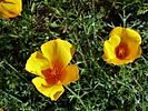 photo thumbnail #11