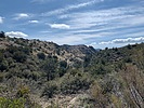 recent photo
