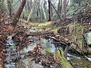 photo thumbnail #2