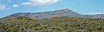 2023-03-25 :: Bartlett Lake Dam Rd Drive and Walk :: tibber