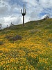 photo thumbnail #11