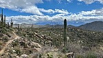 photo thumbnail #7
