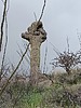 photo thumbnail #10