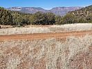 2023-03-29 :3: Mustang Ridge - Sierra Ancha :: DixieFlyer