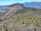 2023-03-29 :3: Mustang Ridge - Sierra Ancha :: DixieFlyer