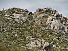 2023-03-30 :2: Coyote Canyon Loop MSP :: LosDosSloFolks