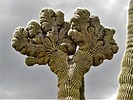photo thumbnail #15
