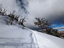 photo thumbnail #6