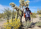 2023-03-31 :1: Organ Pipe NM hikes :: The_Eagle
