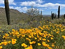photo thumbnail #2
