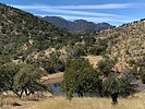 photo thumbnail #8