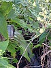 Featured Detail Photo