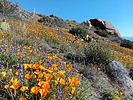 photo thumbnail #7