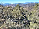 2023-04-02 :2: Hellsgate 37 ( North ) to Tonto Creek :: DixieFlyer