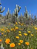 photo thumbnail #1