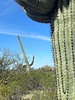 photo thumbnail #3