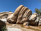 photo thumbnail #3