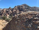 recent photo