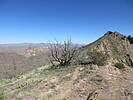 photo thumbnail #8