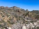 photo thumbnail #3