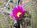 photo thumbnail #6