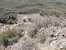2023-04-04 :2: Saddle Mountain 6535 - Mazatzals :: DixieFlyer