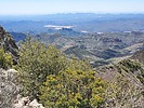 2023-04-04 :2: Saddle Mountain 6535 - Mazatzals :: DixieFlyer