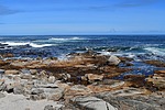 photo thumbnail #12
