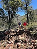 photo thumbnail #5