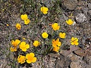 photo thumbnail #12