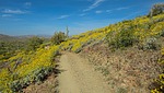 photo thumbnail #2