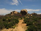 photo thumbnail #10