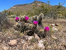 photo thumbnail #7