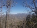 photo thumbnail #4