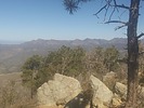 photo thumbnail #7
