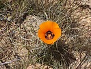 2023-04-08 :2: Tortilla Mountains - AZT #15 :: wallyfrack