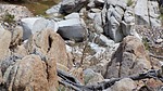 photo thumbnail #9