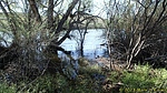 photo thumbnail #15