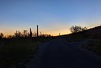 photo thumbnail #7