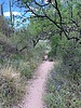 photo thumbnail #5