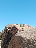 photo thumbnail #12