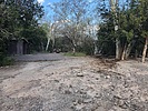 recent photo