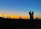 photo thumbnail #1