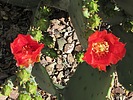 photo thumbnail #11