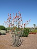 photo thumbnail #9